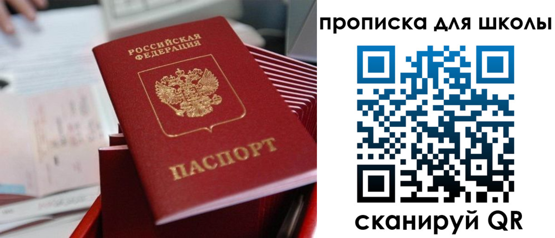 прописка для школы в Белгородской области